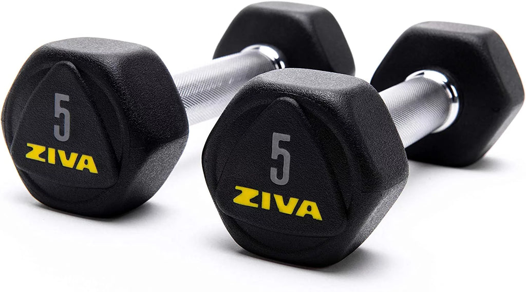 20 Lbs Hex Dumbbells Weight Set B165