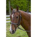 Anatomical Bridle O266594