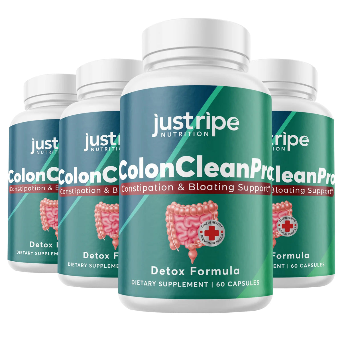 4 Pack Natural Digestive Support Supplement 60ct T238