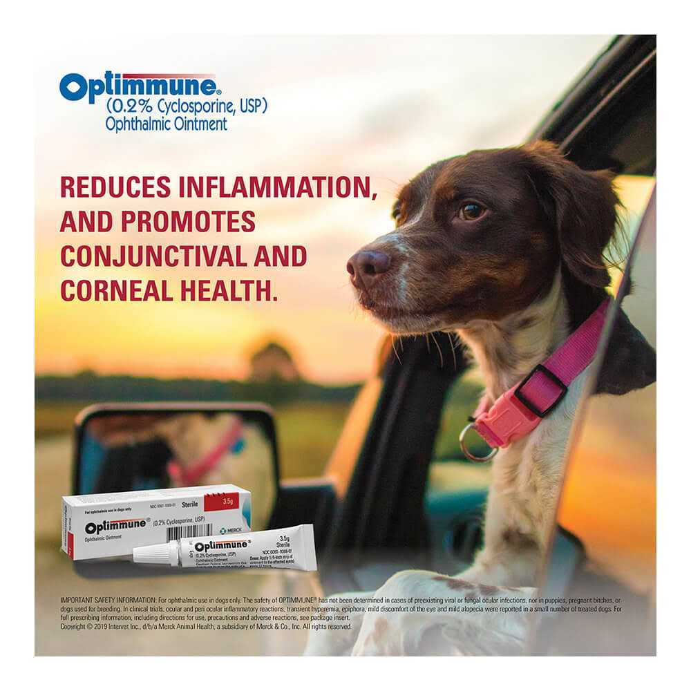 Ophthalmic Ointment U208