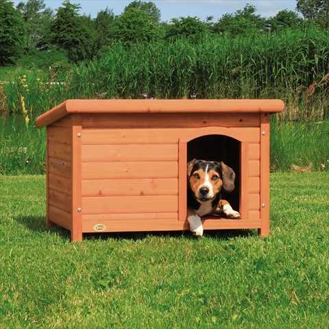 Small Dog House M5571