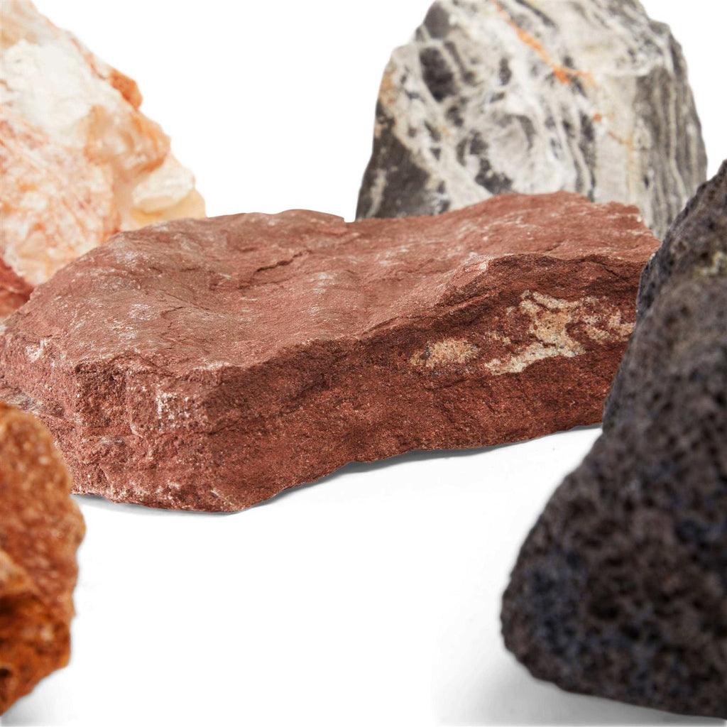 Shale Rock R595817