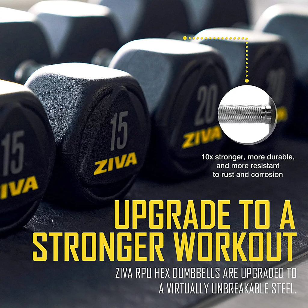 20 Lbs Hex Dumbbells Weight Set B165