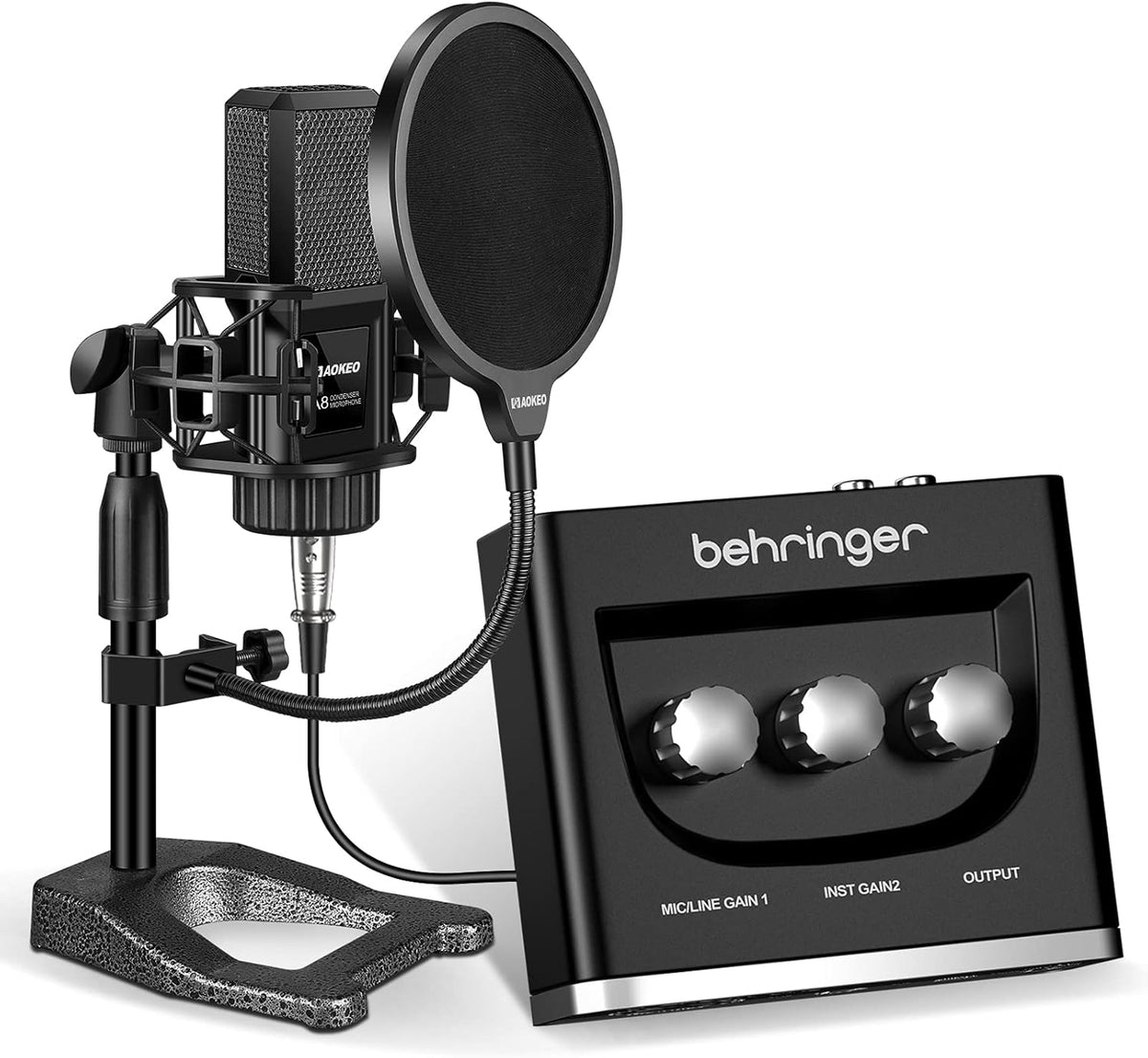 Large Diaphragm Multi-Pattern Condenser Microphone with Shock Mount, Pop Filter, and XLR Cable N606907