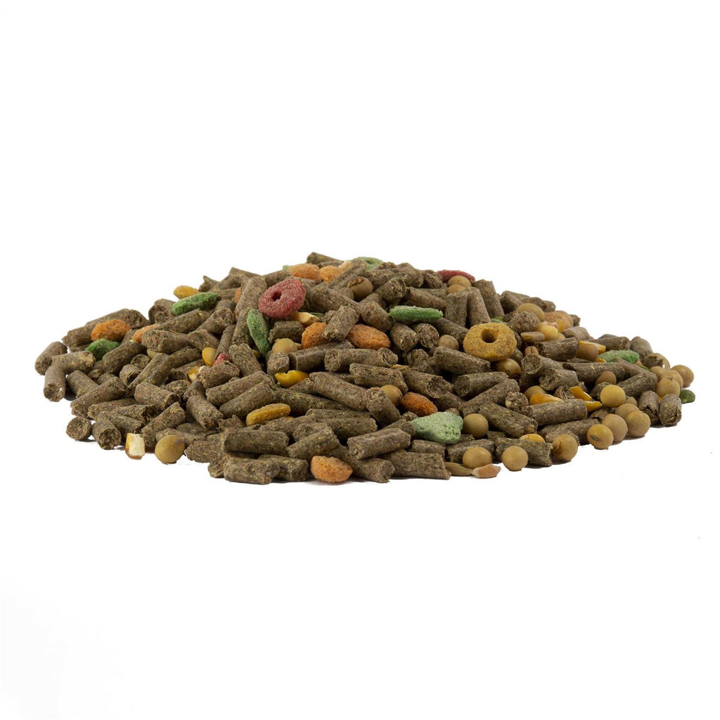 Guinea Pig Advanced Nutrition Diet T201577