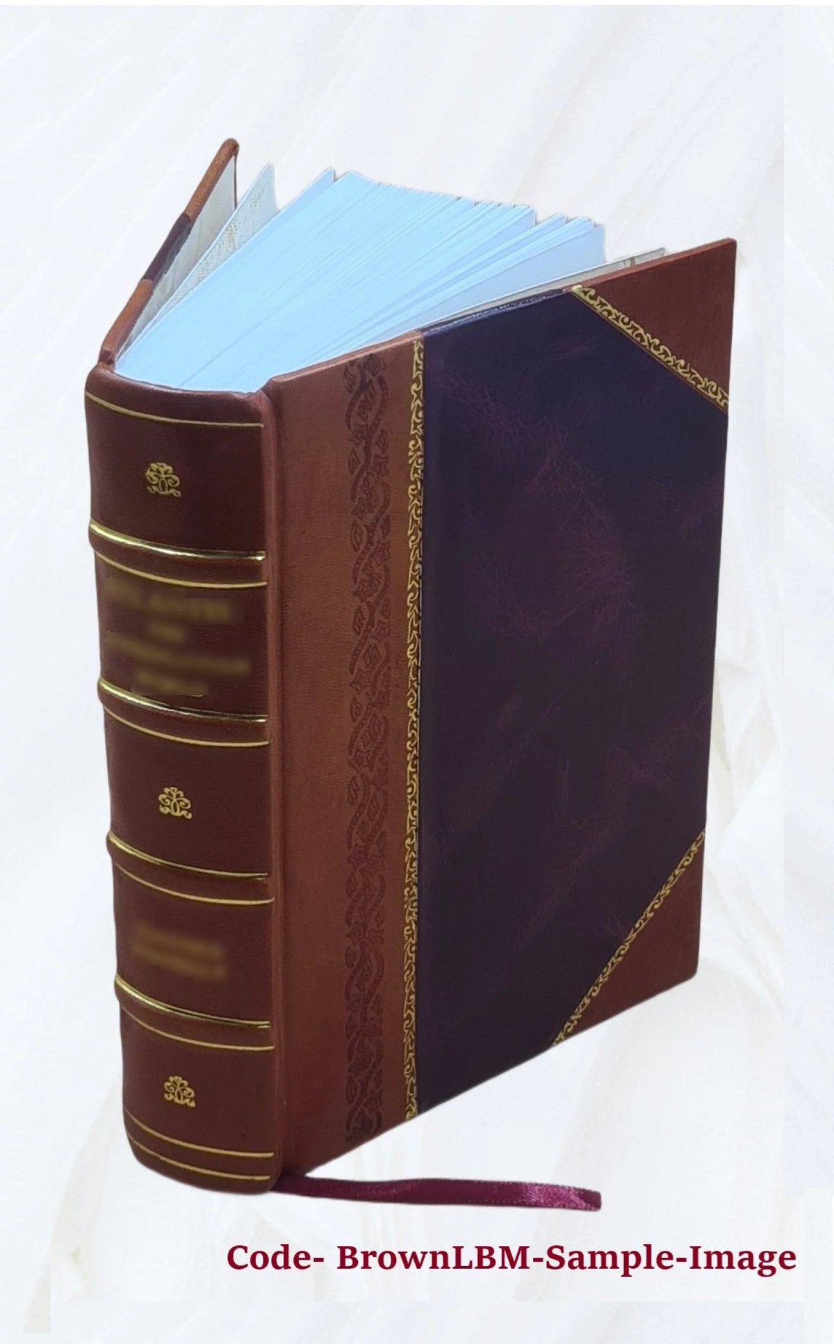 Leather Bound Book F172