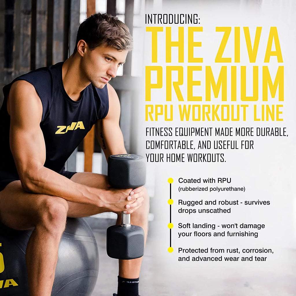 20 Lbs Hex Dumbbells Weight Set B165