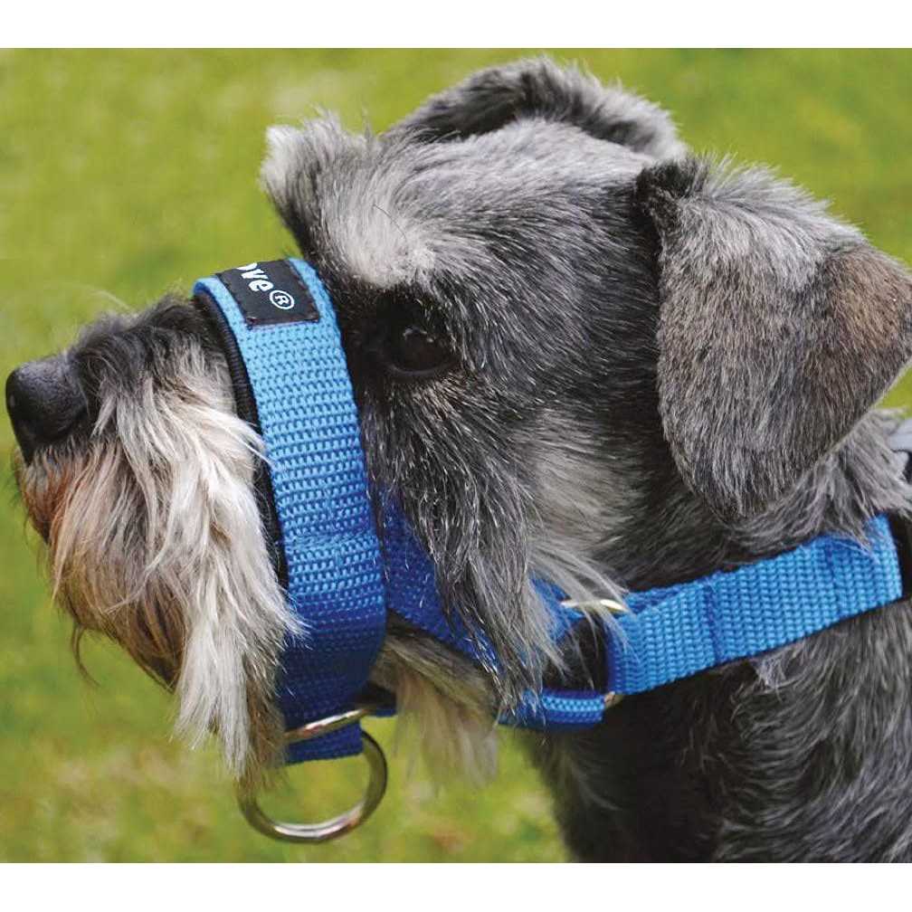 Dog Head Collar Halter Y935